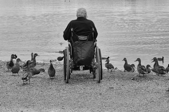 man, wheelchair, ducks, lake, nature, water, feed, person. An NEMT equipment checklist built around the trip that almost fails