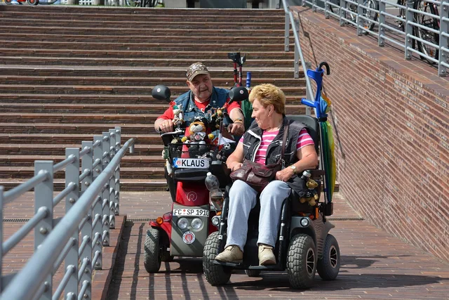 hamburg, st pauli, wheelchair users, disability, restriction, mobile, pleasure, woman, man, disability, disability, disability, disability, disability. NEMT employee training: stop conditions and records