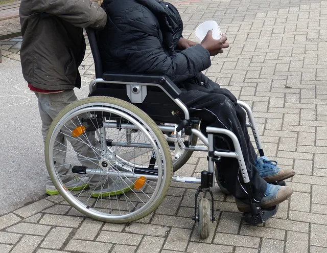 disability, rehabilitation, wheelchair, mobility problems, lame, be mobile, tools, physical disability, handicap, problem, child, children, help, disability, disability, disability, wheelchair, wheelchair, wheelchair, wheelchair, wheelchair. NEMT Equipment and Premises: A Small Fleet Framework