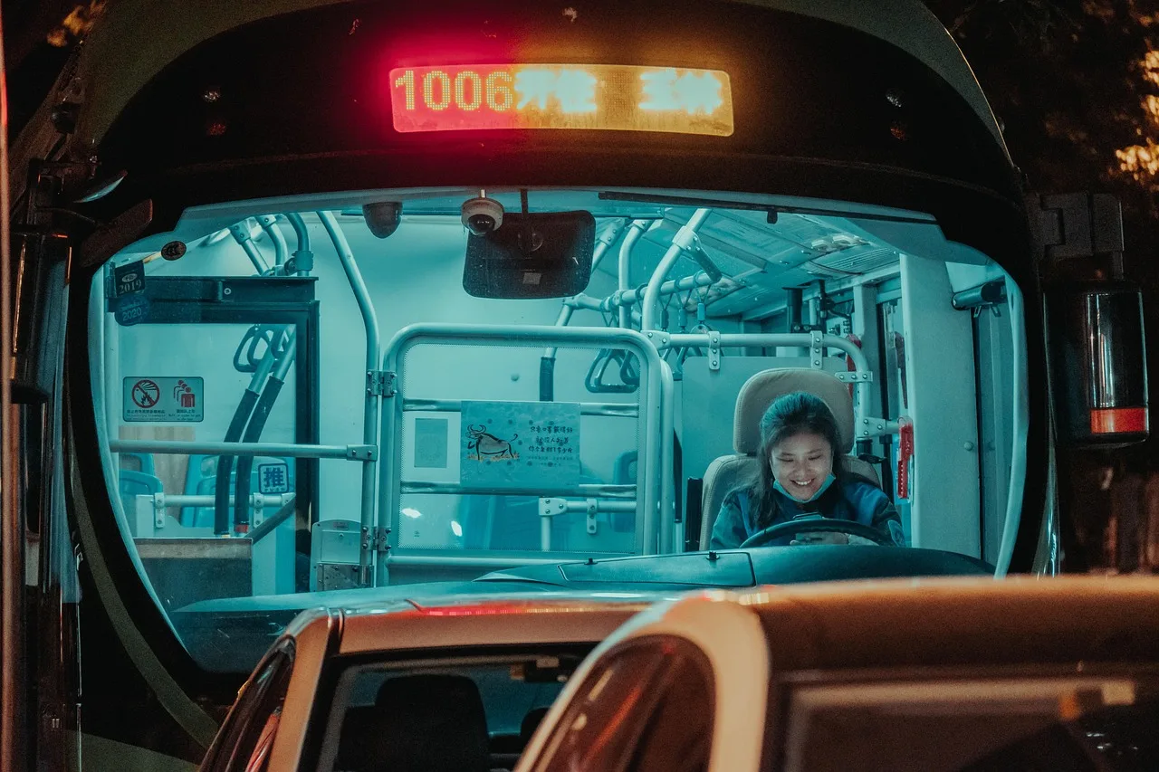 bus, driver, woman, happy, smile, traffic, city bus, transport, transportation, city, bus, driver, driver, driver, driver, driver. 8 things to understand about nemt hiring and training