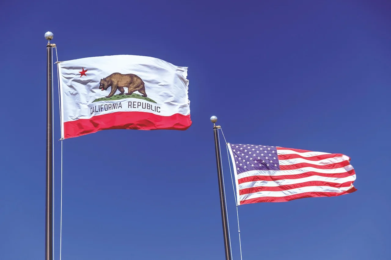 flag, california, republic of california, usa flag, california flag, waving, windy, wind, strong wind, heavy wind, states, california flag, california flag, california flag, california flag, california flag. Why does NEMT pricing differ in Texas and California for new operators?